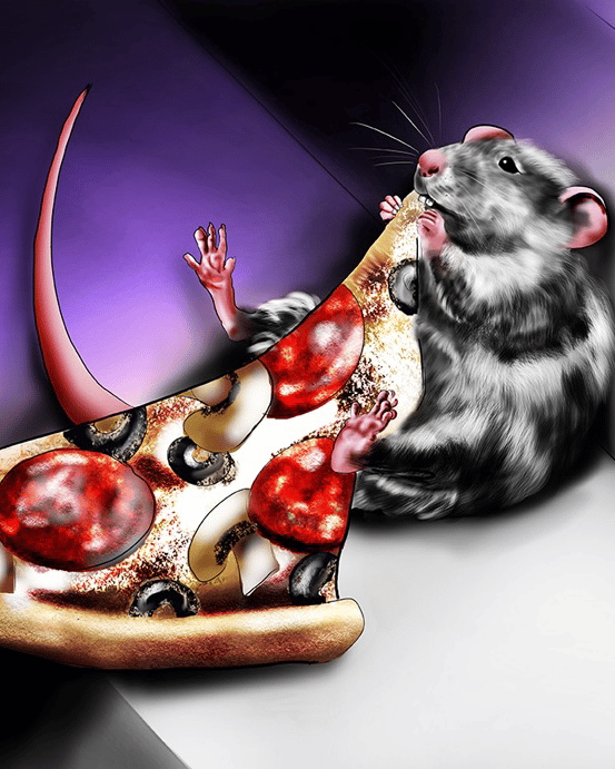 Rat eating pizza editorial illustration